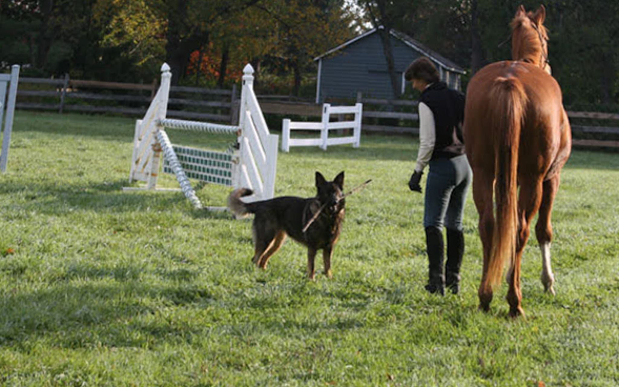 Applewood Farm