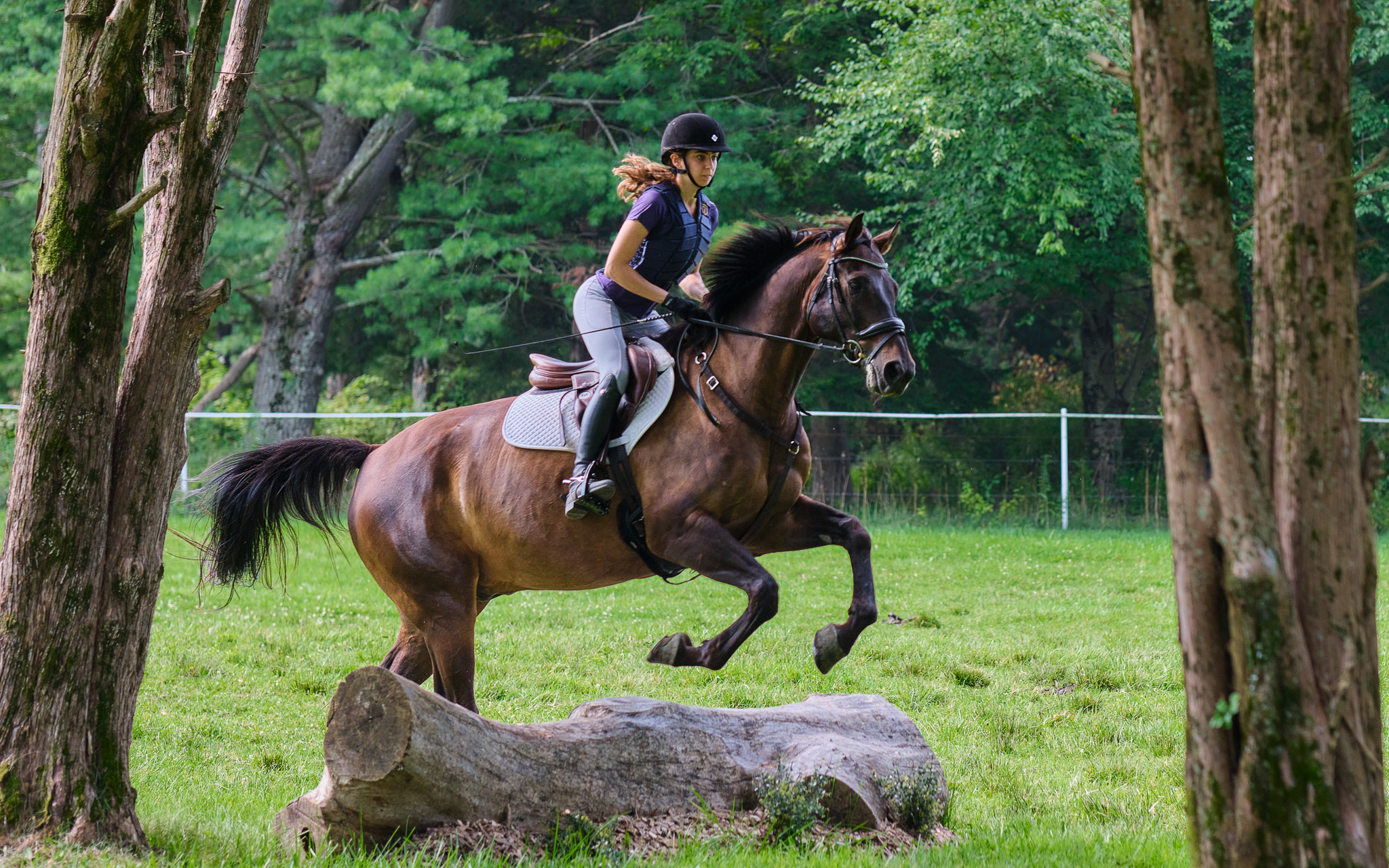 At Applewood Farm