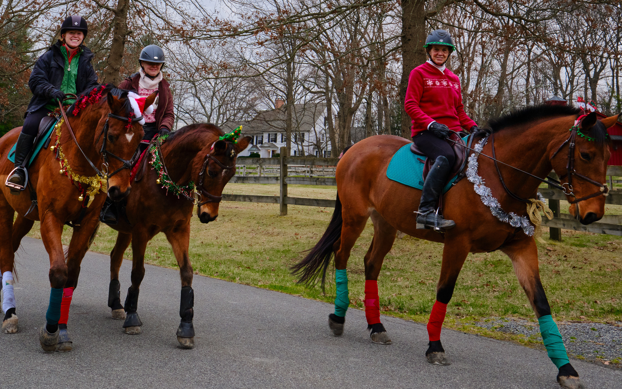 Christmas Gymkhana