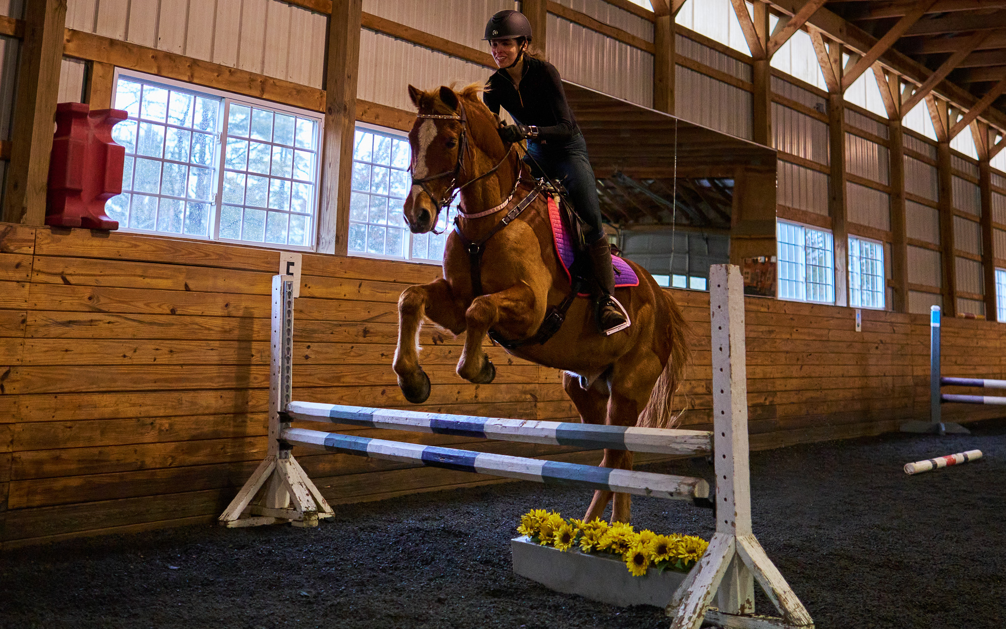 At Applewood Farm