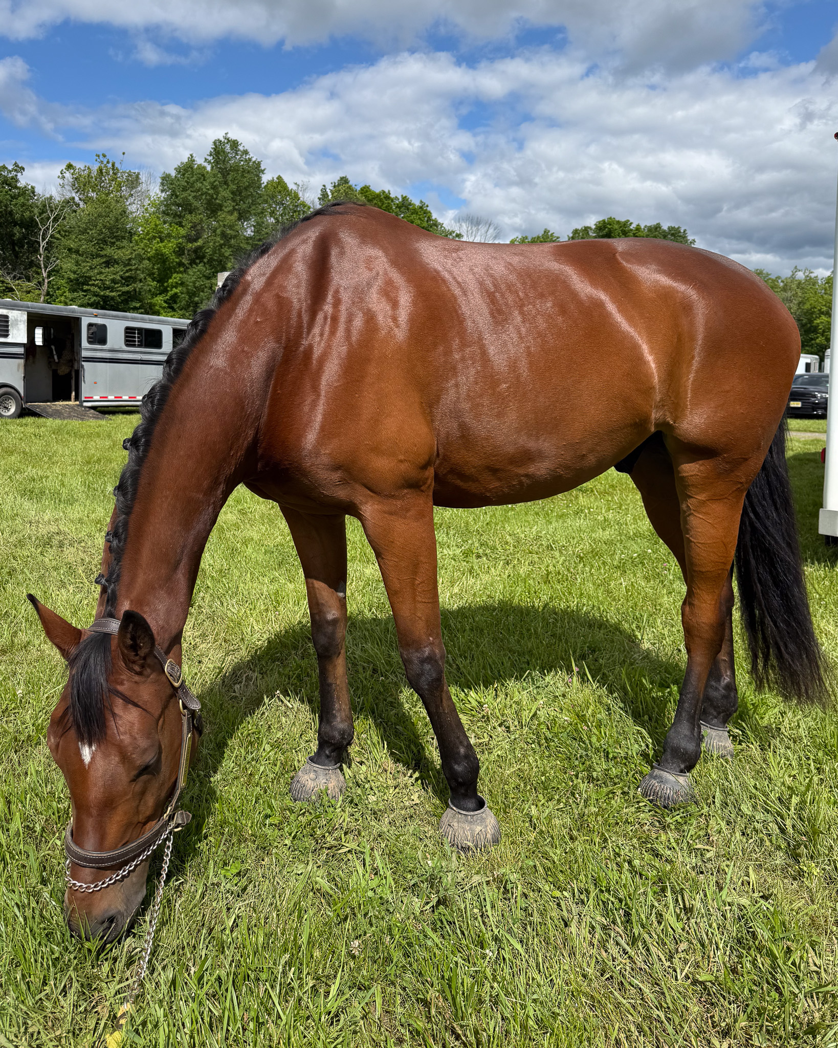 Applewood Farm