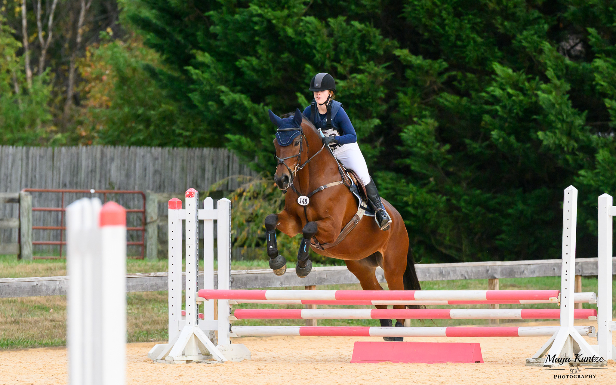 At Applewood Farm