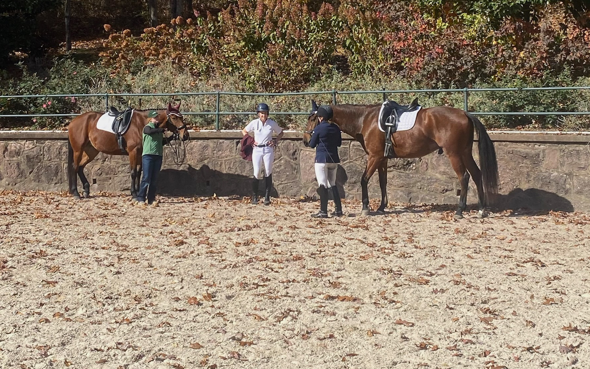 At Applewood Farm