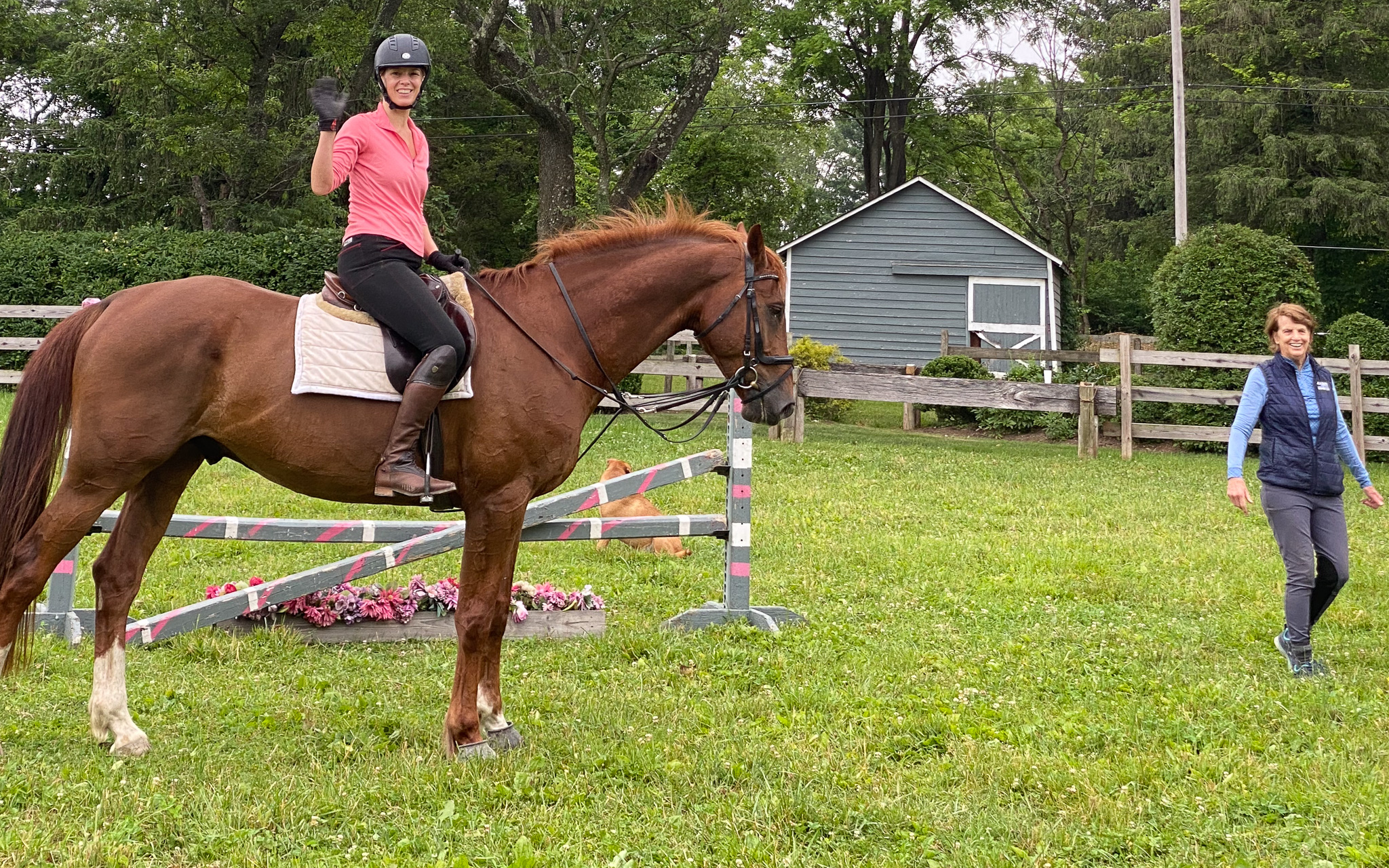 At Applewood Farm