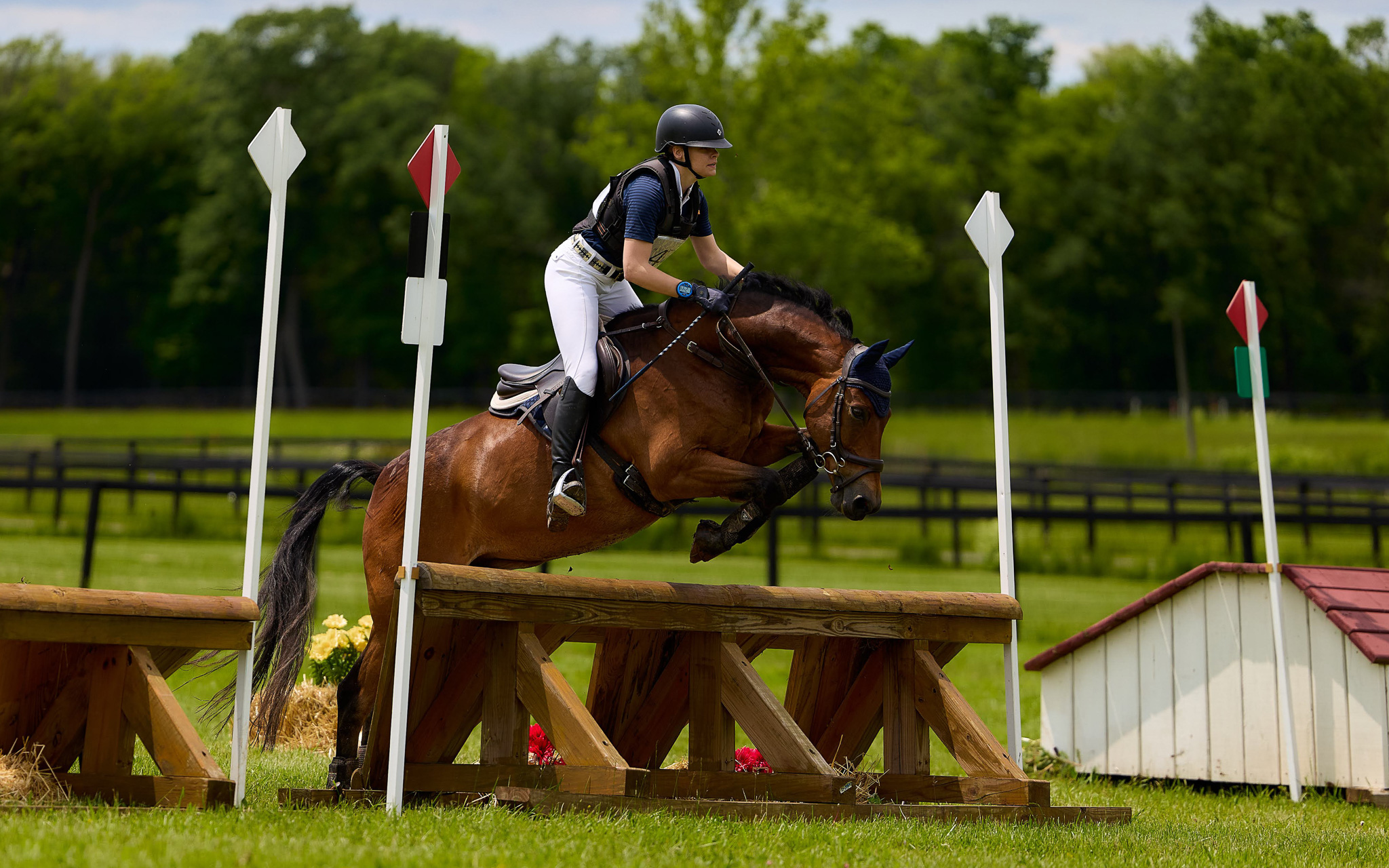 At Applewood Farm