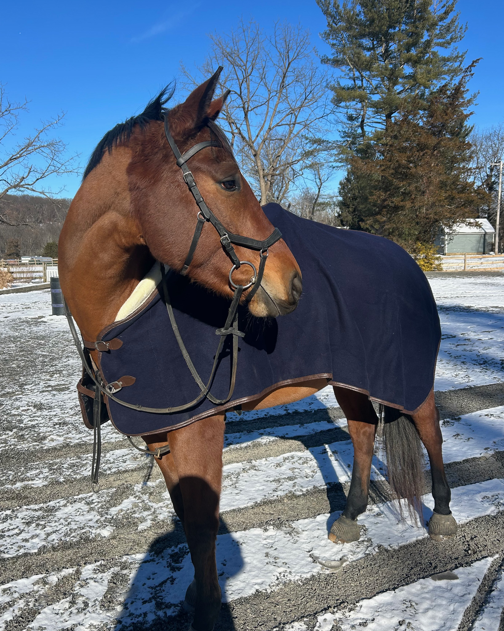 Applewood Farm