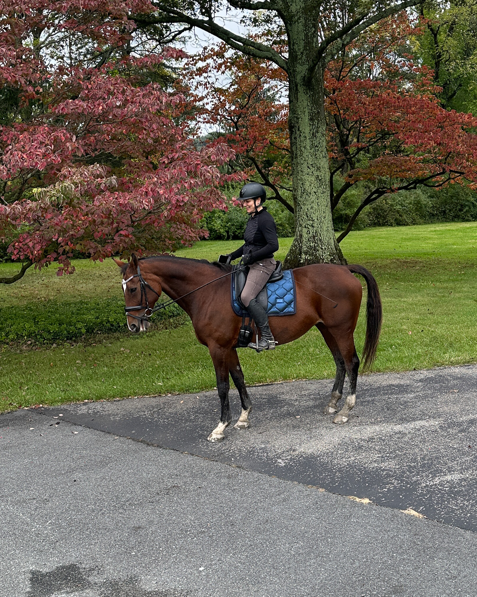 Applewood Farm