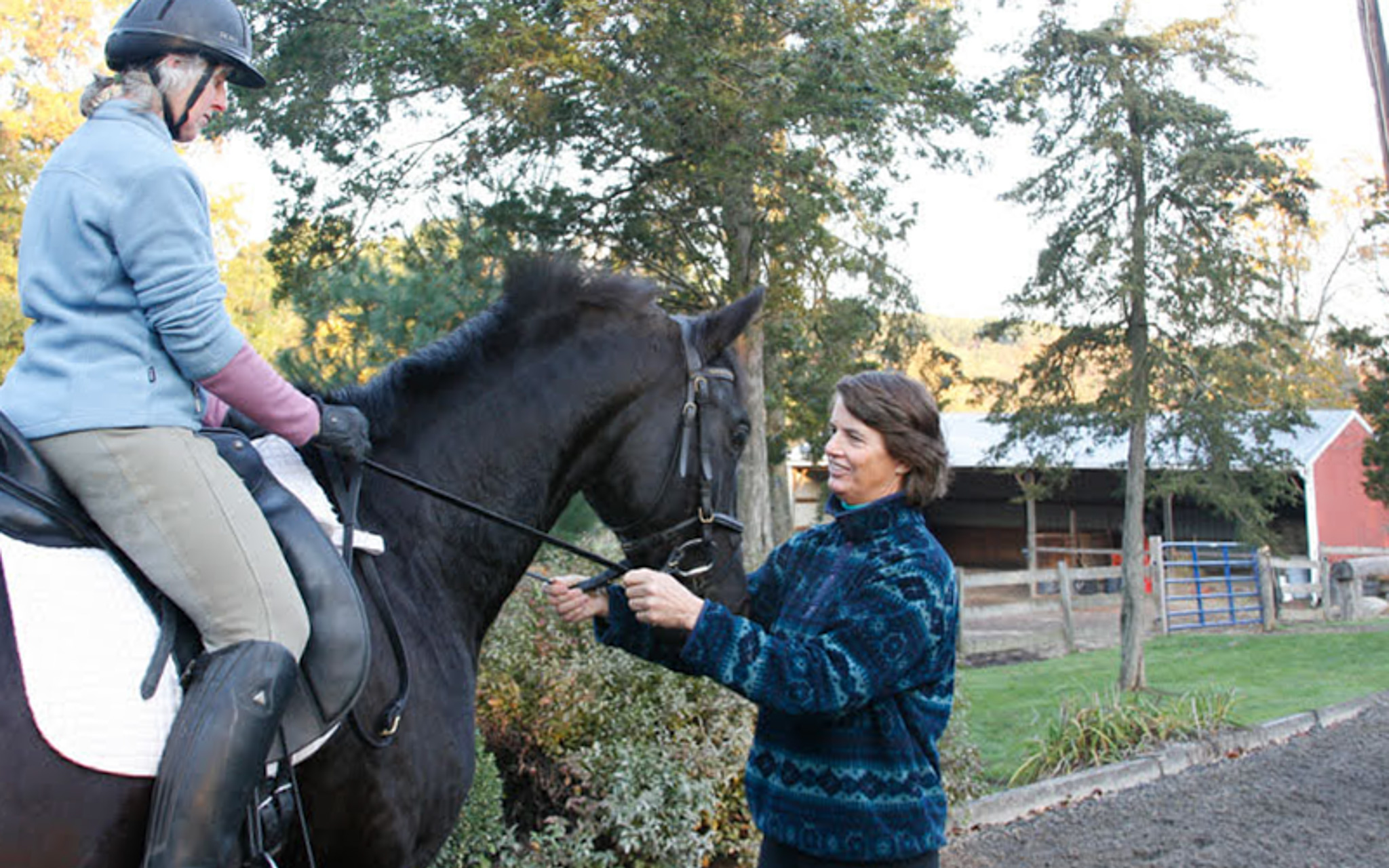 At Applewood Farm