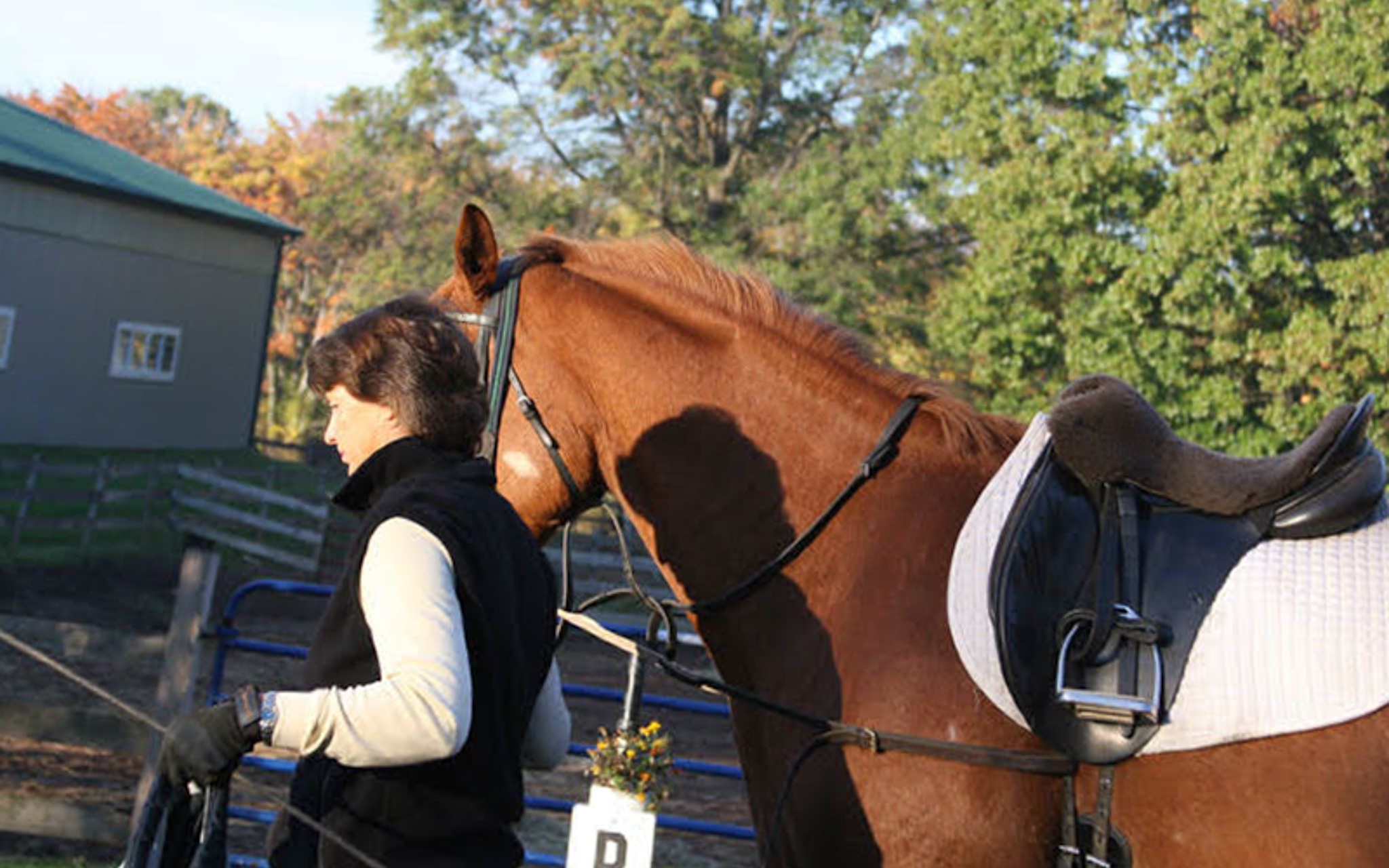 At Applewood Farm