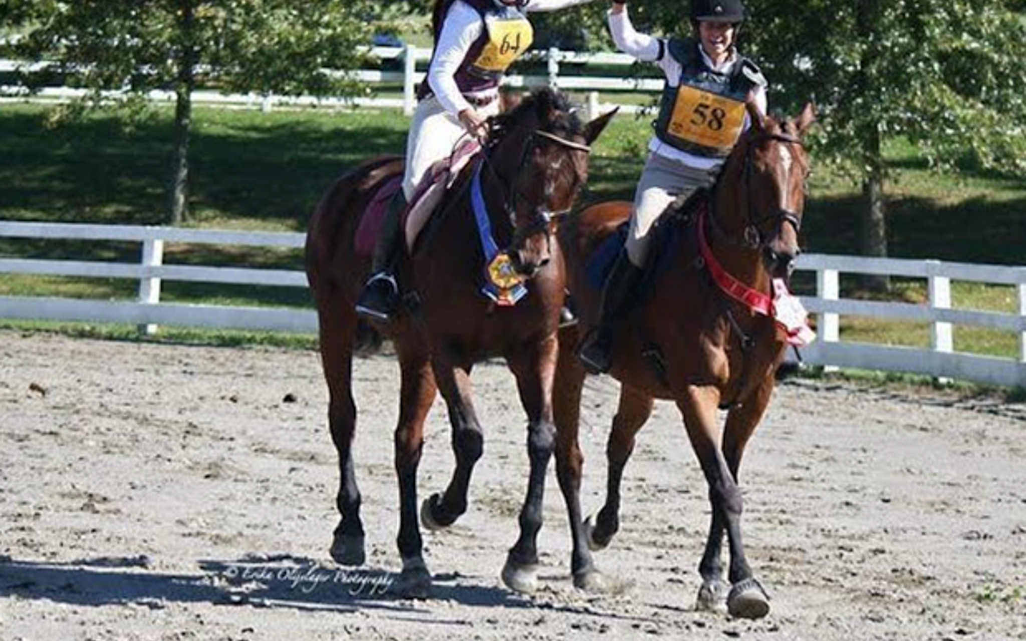 At Applewood Farm
