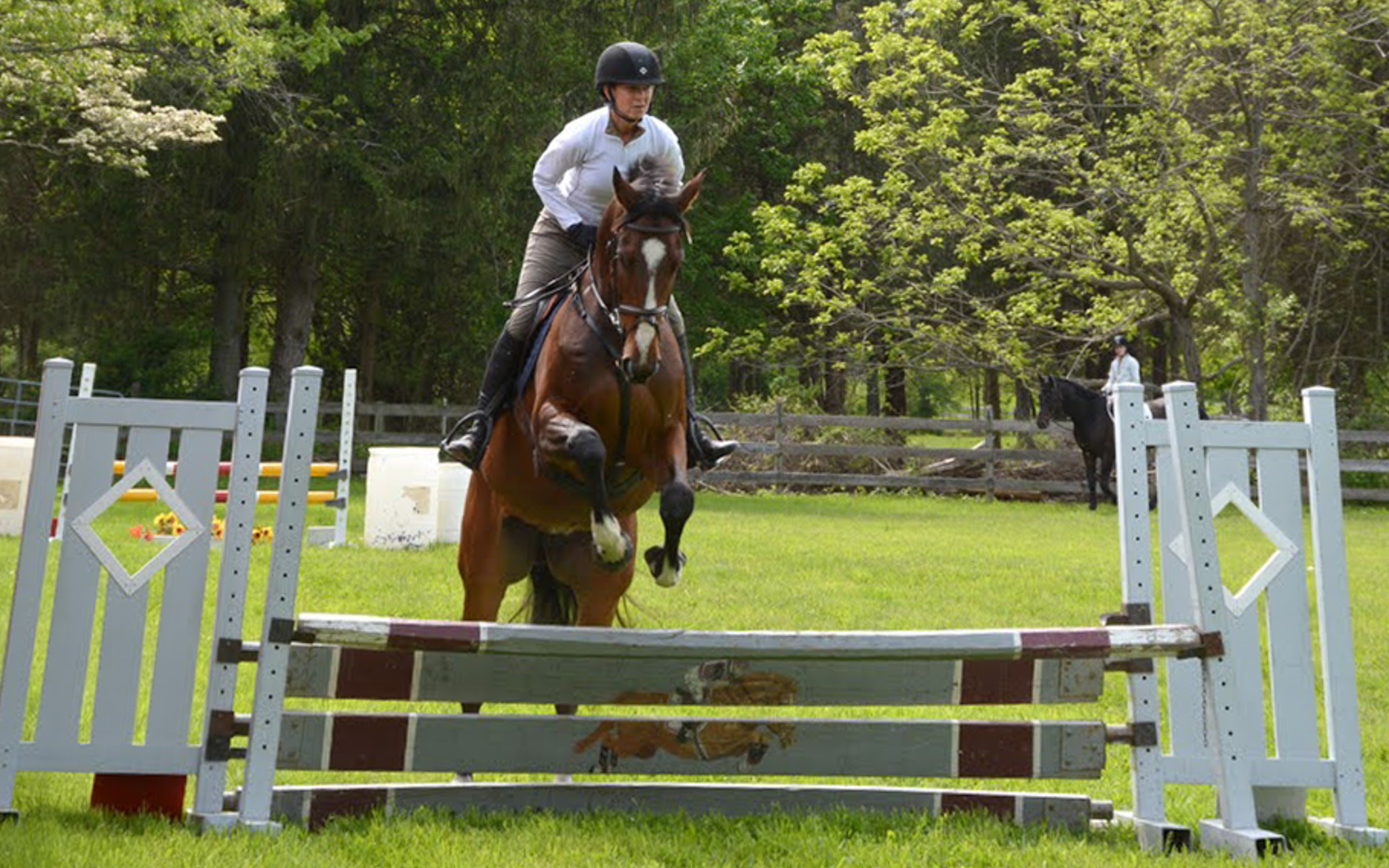 At Applewood Farm